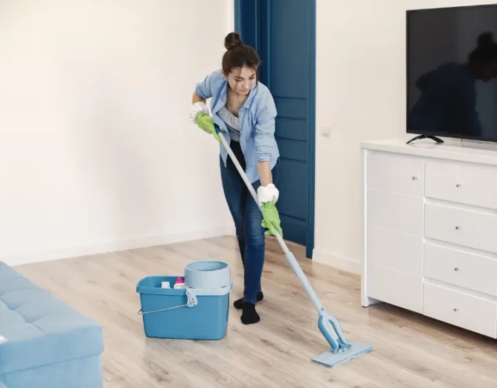 Femme de ménage Beurlay